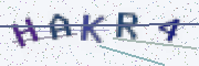 Security code picture. If you can’t read it, press the New code button.